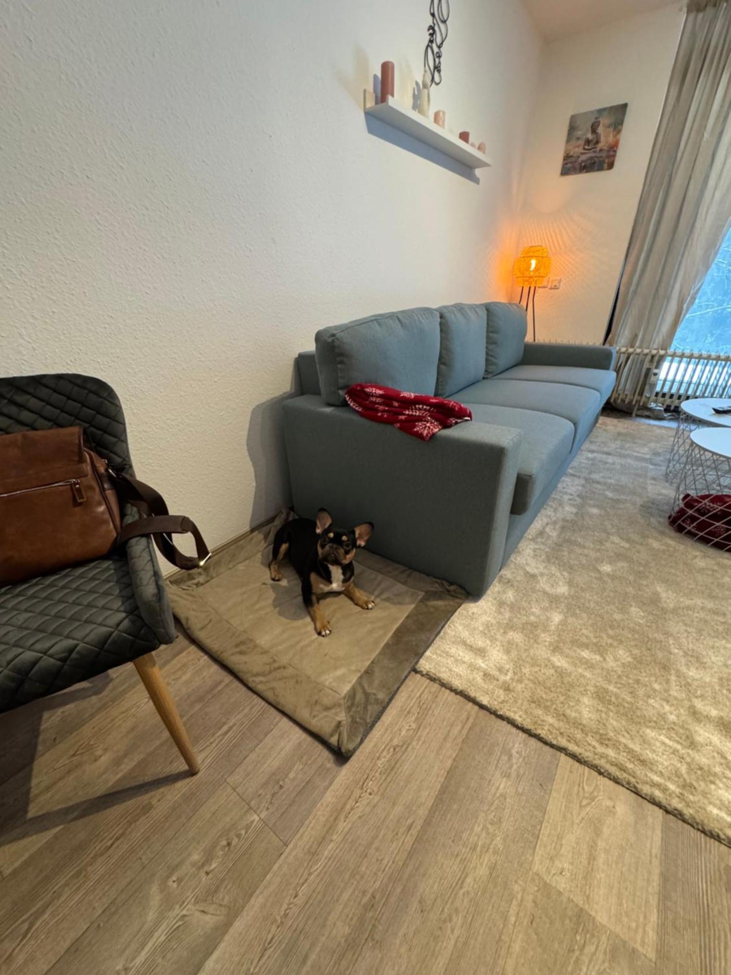 Appartement Maja Unmittelbar An Der Skipiste *